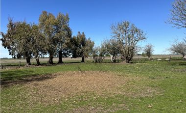 Campo en venta en Loma Verde. 59 Has mixto.