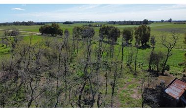 Campo en venta en Loma Verde. 59 Has mixto.