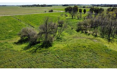 Campo en venta en Loma Verde. 59 Has mixto.
