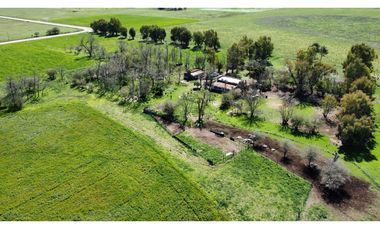 Campo en venta en Loma Verde. 59 Has mixto.