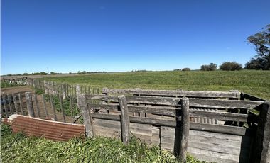 Campo en venta en Loma Verde. 59 Has mixto.