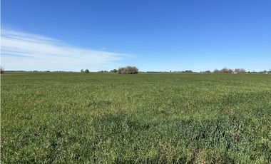 Campo en venta en Loma Verde. 59 Has mixto.