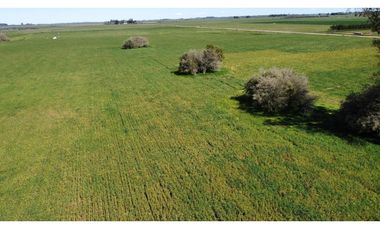 Campo en venta en Loma Verde. 59 Has mixto.