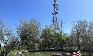 Campo en venta en Loma Verde. 59 Has mixto.