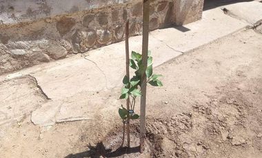Se vende parcela en la ciudad de Limache.