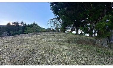 SE VENDE HERMOSO LOTE CAMPESTRE EN CONDOMINIO EN LA ESTRELLA