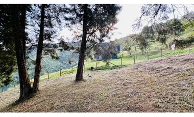 SE VENDE HERMOSO LOTE CAMPESTRE EN CONDOMINIO EN LA ESTRELLA