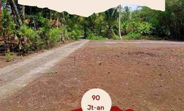 Dekat Calon Pabrik Sepatu Pekalongan: 1 Jt-an, SHM Unit