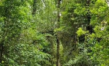 Sitio en Venta en Campo Don Andrés