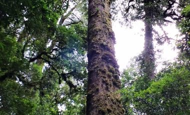 Sitio en Venta en Campo Don Andrés