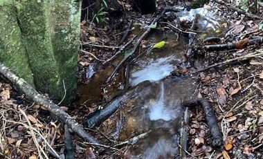 Sitio en Venta en Campo Don Andrés