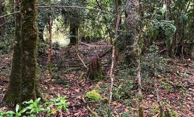 Sitio en Venta en Campo Don Andrés