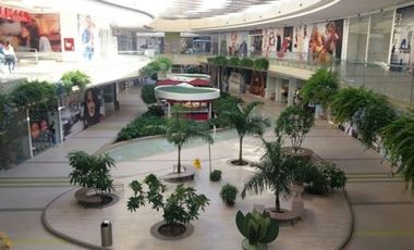 ARRIENDO de LOCALES en NEIVA