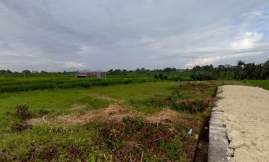 VILLA FULL FURNISH 2 KAMAR HARGA TERMIRING DEKAT CANGGU