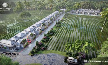 VILLA FULL FURNISH 2 KAMAR HARGA TERMIRING DEKAT CANGGU