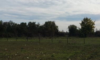 SE VENDE PARCELA DE 7.000 M2, EN SECTOR BALLICA NORTE, COMUNA DE LINARES.