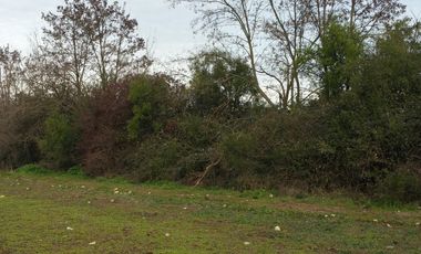 SE VENDE PARCELA DE 7.000 M2, EN SECTOR BALLICA NORTE, COMUNA DE LINARES.
