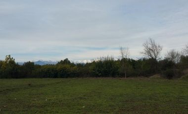 SE VENDE PARCELA DE 7.000 M2, EN SECTOR BALLICA NORTE, COMUNA DE LINARES.