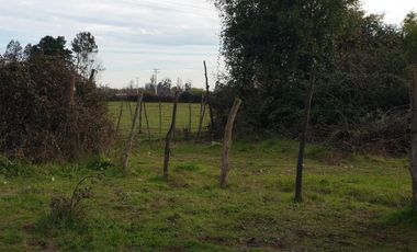 SE VENDE PARCELA DE 7.000 M2, EN SECTOR BALLICA NORTE, COMUNA DE LINARES.