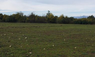 SE VENDE PARCELA DE 7.000 M2, EN SECTOR BALLICA NORTE, COMUNA DE LINARES.