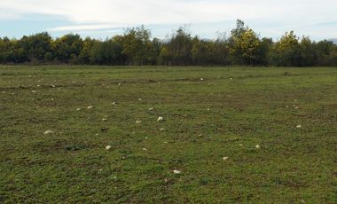 SE VENDE PARCELA DE 7.000 M2, EN SECTOR BALLICA NORTE, COMUNA DE LINARES.