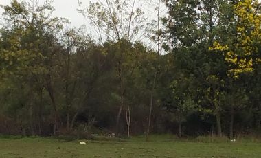 SE VENDE PARCELA DE 7.000 M2, EN SECTOR BALLICA NORTE, COMUNA DE LINARES.