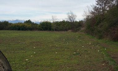 SE VENDE PARCELA DE 7.000 M2, EN SECTOR BALLICA NORTE, COMUNA DE LINARES.