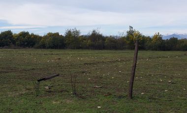 SE VENDE PARCELA DE 7.000 M2, EN SECTOR BALLICA NORTE, COMUNA DE LINARES.