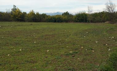 SE VENDE PARCELA DE 7.000 M2, EN SECTOR BALLICA NORTE, COMUNA DE LINARES.