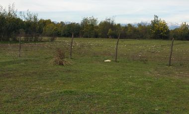 SE VENDE PARCELA DE 7.000 M2, EN SECTOR BALLICA NORTE, COMUNA DE LINARES.