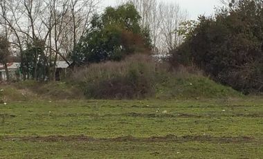 SE VENDE PARCELA DE 7.000 M2, EN SECTOR BALLICA NORTE, COMUNA DE LINARES.