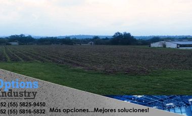 Excellent Land for sale Texcoco