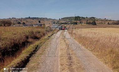 Terrenos Venta Almoloya de Juárez Zona Almaloya de Júarez 08-TV-782