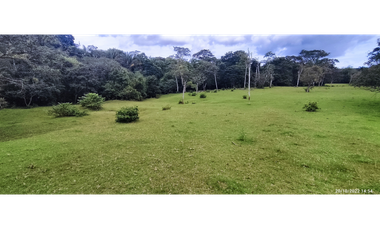 Se Vende Finca de 4.2 Hectáreas en La Chorrera