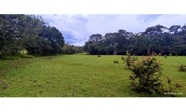 Se Vende Finca de 4.2 Hectáreas en La Chorrera