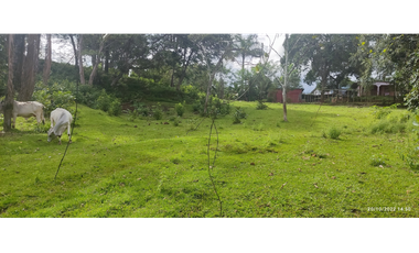 Se Vende Finca de 4.2 Hectáreas en La Chorrera