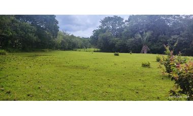 Se Vende Finca de 4.2 Hectáreas en La Chorrera