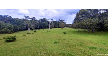 Se Vende Finca de 4.2 Hectáreas en La Chorrera