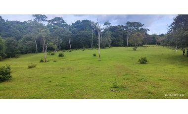 Se Vende Finca de 4.2 Hectáreas en La Chorrera
