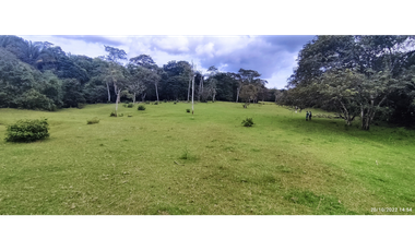 Se Vende Finca de 4.2 Hectáreas en La Chorrera