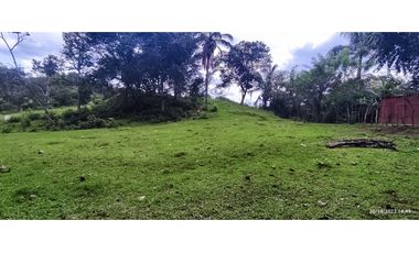 Se Vende Finca de 4.2 Hectáreas en La Chorrera