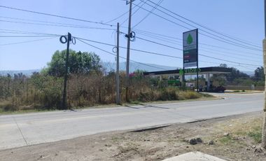 Terrenos en renta en zona UdG Tlajomulco