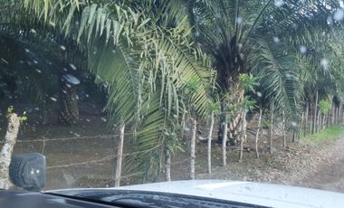 Terreno en Venta en los ríos