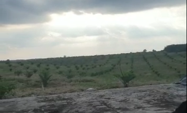 Terreno en Venta en los ríos