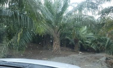 Terreno en Venta en los ríos