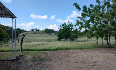 finca en venta en girardot. Cod V5040