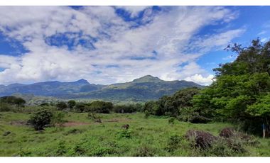 VENTA DE LOTE EN JERICO , SUROESTE ANTIOQUEÑO Unidad Cerrada