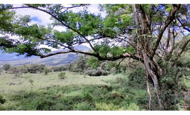 VENTA DE LOTE EN JERICO , SUROESTE ANTIOQUEÑO Unidad Cerrada