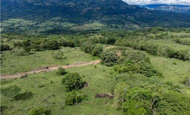 VENTA DE LOTE EN JERICO , SUROESTE ANTIOQUEÑO Unidad Cerrada