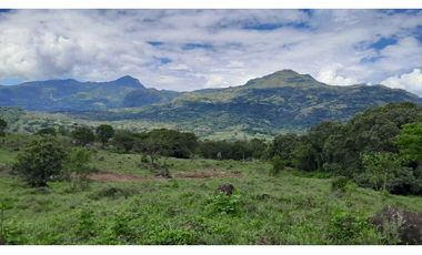 VENTA DE LOTE EN JERICO , SUROESTE ANTIOQUEÑO Unidad Cerrada